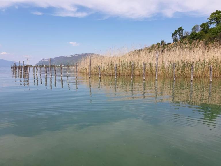 Le Lamartine, Vue Magnifique Face Au Lac Du Bourget 艾克斯莱班 外观 照片