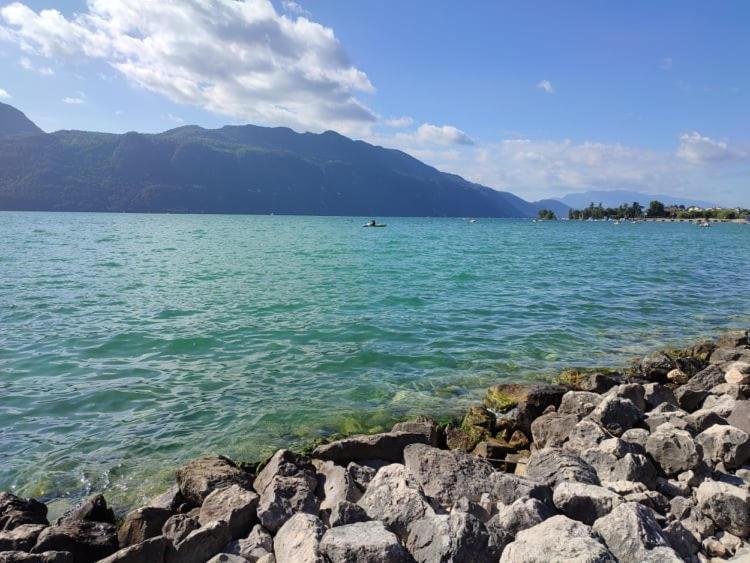 Le Lamartine, Vue Magnifique Face Au Lac Du Bourget 艾克斯莱班 外观 照片
